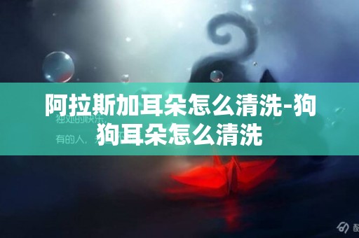 阿拉斯加耳朵怎么清洗-狗狗耳朵怎么清洗