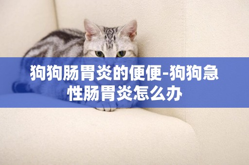 狗狗腸胃炎的便便-狗狗急性腸胃炎怎么辦