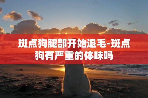 斑點狗腿部開始退毛-斑點狗有嚴重的體味嗎