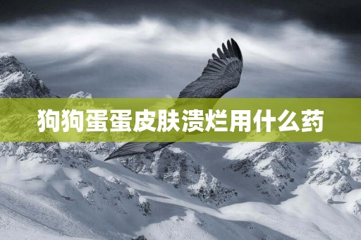 狗狗蛋蛋皮膚潰爛用什么藥
