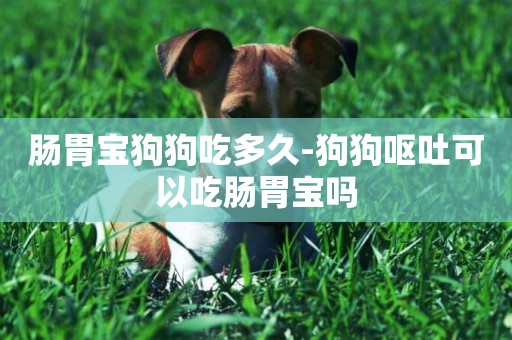 腸胃寶狗狗吃多久-狗狗嘔吐可以吃腸胃寶嗎