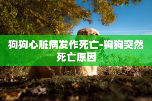 狗狗心臟病發作死亡-狗狗突然死亡原因