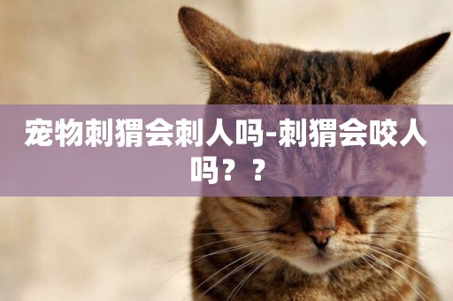 寵物刺猬會刺人嗎-刺猬會咬人嗎？？