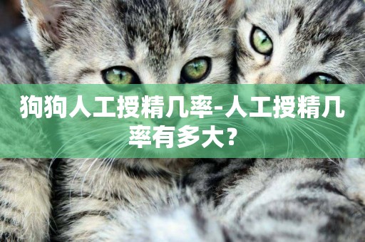 狗狗人工授精幾率-人工授精幾率有多大？