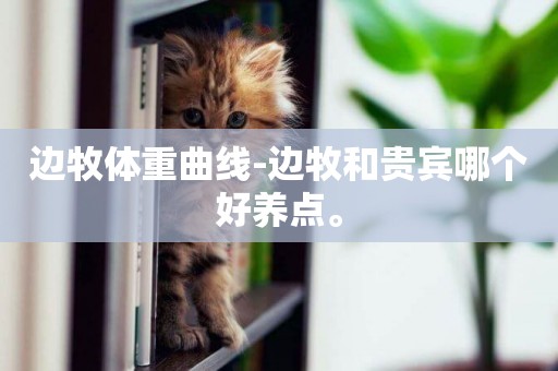 邊牧體重曲線-邊牧和貴賓哪個好養點。