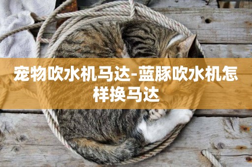 寵物吹水機馬達-藍豚吹水機怎樣換馬達