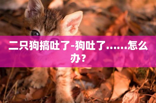二只狗搞吐了-狗吐了……怎么辦？