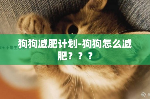 狗狗減肥計劃-狗狗怎么減肥？？？