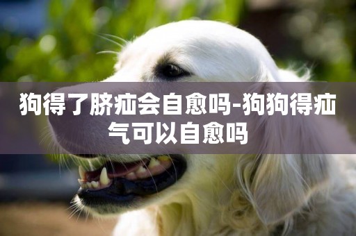 狗得了臍疝會自愈嗎-狗狗得疝氣可以自愈嗎