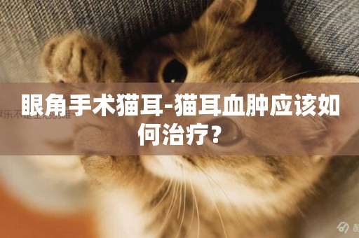 眼角手術貓耳-貓耳血腫應該如何治療？