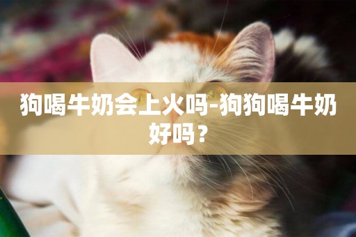 狗喝牛奶會上火嗎-狗狗喝牛奶好嗎？