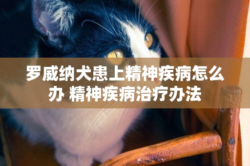 羅威納犬患上精神疾病怎么辦 精神疾病治療辦法