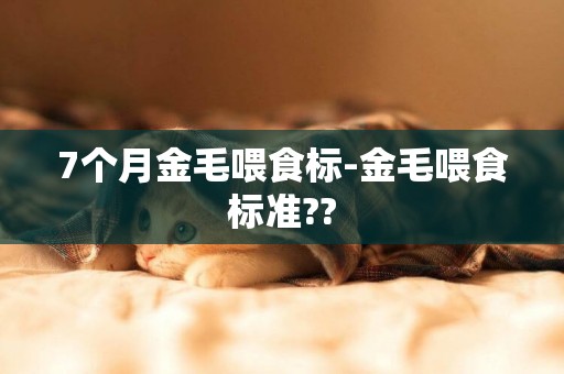 7個月金毛喂食標-金毛喂食標準??