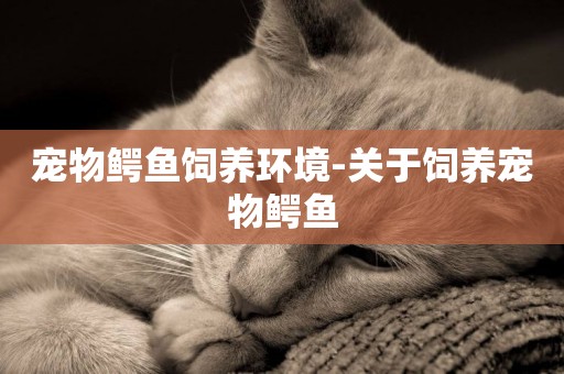 寵物鱷魚飼養環境-關于飼養寵物鱷魚
