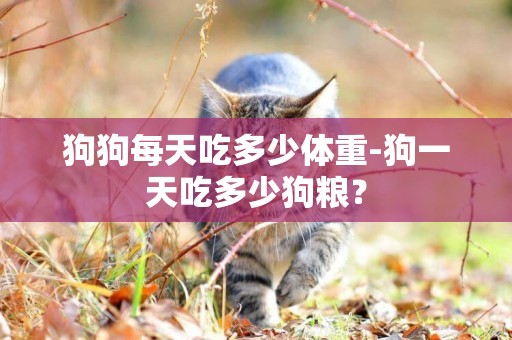 狗狗每天吃多少體重-狗一天吃多少狗糧？