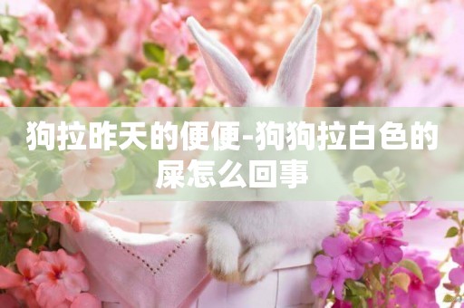 狗拉昨天的便便-狗狗拉白色的屎怎么回事