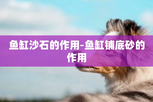 魚缸沙石的作用-魚缸鋪底砂的作用