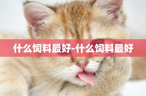 什么飼料最好-什么飼料最好