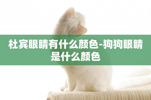 杜賓眼睛有什么顏色-狗狗眼睛是什么顏色