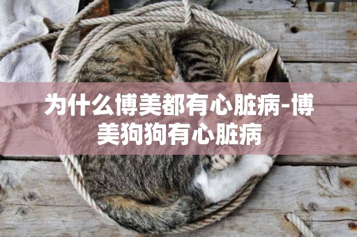 為什么博美都有心臟病-博美狗狗有心臟病