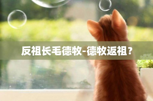 反祖長毛德牧-德牧返祖？