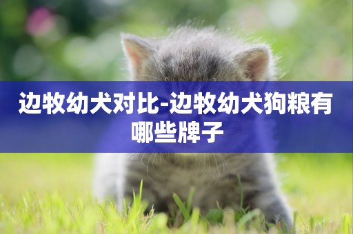 邊牧幼犬對比-邊牧幼犬狗糧有哪些牌子