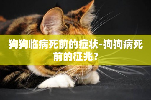 狗狗臨病死前的癥狀-狗狗病死前的征兆？