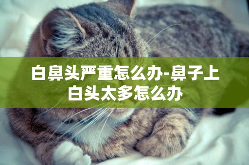 白鼻頭嚴重怎么辦-鼻子上白頭太多怎么辦