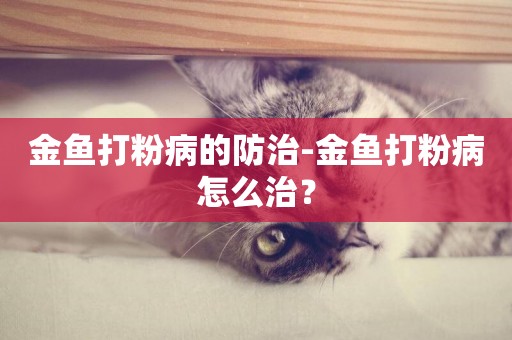 金魚打粉病的防治-金魚打粉病怎么治？