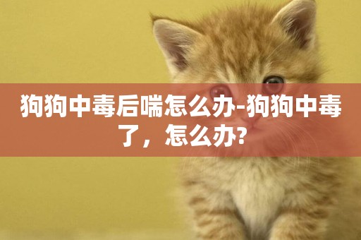 狗狗中毒后喘怎么辦-狗狗中毒了，怎么辦?