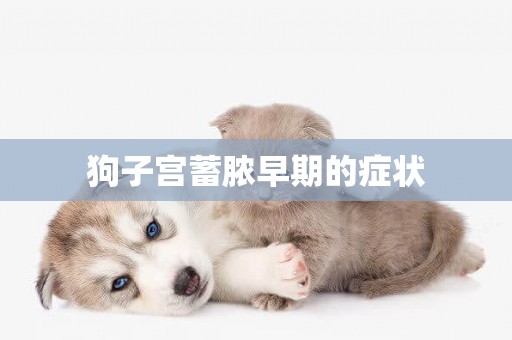 狗子宮蓄膿早期的癥狀