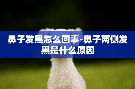 鼻子發黑怎么回事-鼻子兩側發黑是什么原因