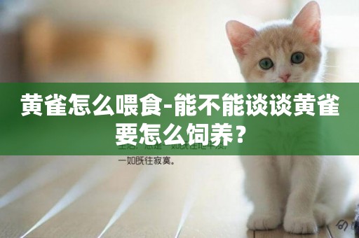 黃雀怎么喂食-能不能談談黃雀要怎么飼養？