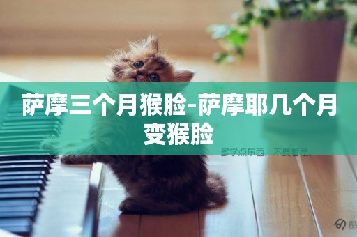 薩摩三個月猴臉-薩摩耶幾個月變猴臉