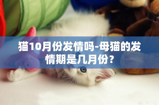 貓10月份發情嗎-母貓的發情期是幾月份？