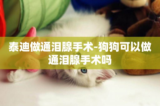 泰迪做通淚腺手術-狗狗可以做通淚腺手術嗎