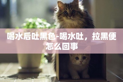 喝水后吐黑色-喝水吐，拉黑便怎么回事