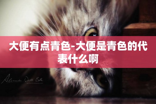 大便有點青色-大便是青色的代表什么啊