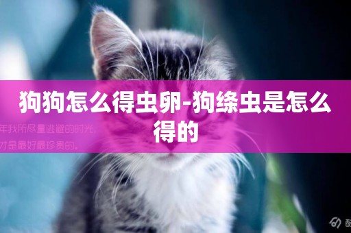 狗狗怎么得蟲卵-狗絳蟲是怎么得的