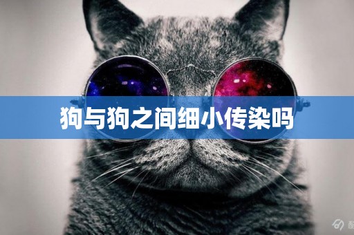 狗與狗之間細小傳染嗎