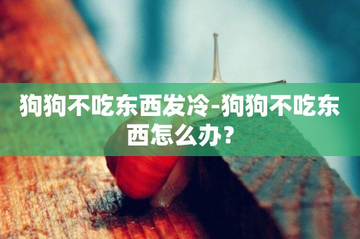 狗狗不吃東西發冷-狗狗不吃東西怎么辦？