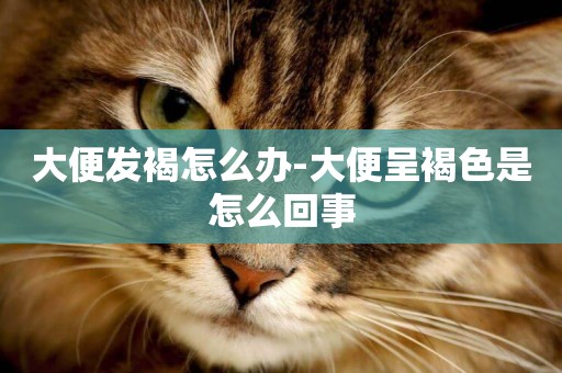 大便發褐怎么辦-大便呈褐色是怎么回事