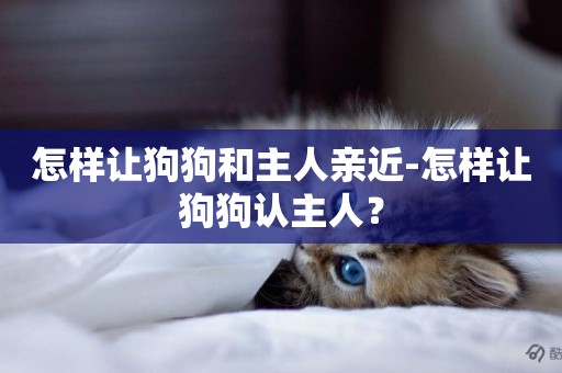 怎樣讓狗狗和主人親近-怎樣讓狗狗認主人？