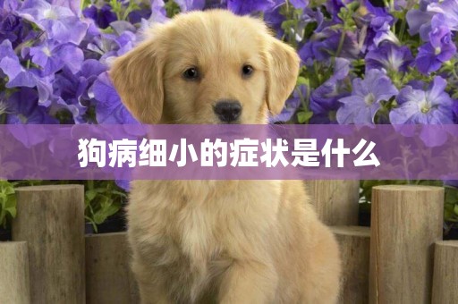 狗病細小的癥狀是什么