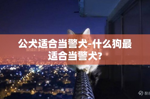 公犬適合當警犬-什么狗最適合當警犬?