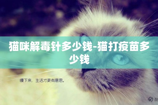貓咪解毒針多少錢-貓打疫苗多少錢