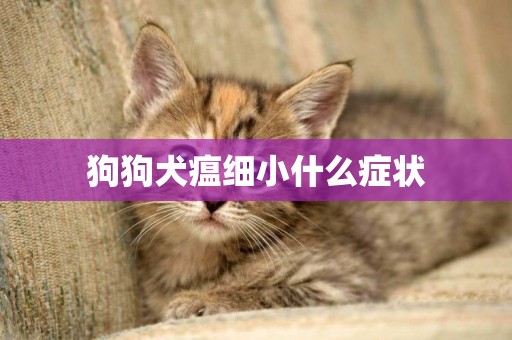 狗狗犬瘟細小什么癥狀