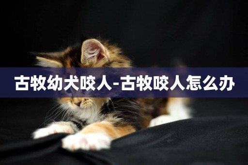 古牧幼犬咬人-古牧咬人怎么辦