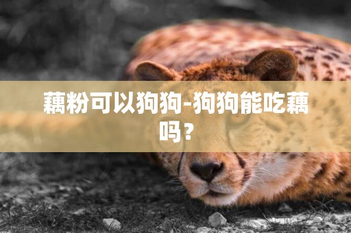 藕粉可以狗狗-狗狗能吃藕嗎？