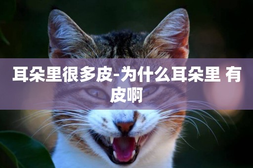 耳朵里很多皮-為什么耳朵里 有皮啊